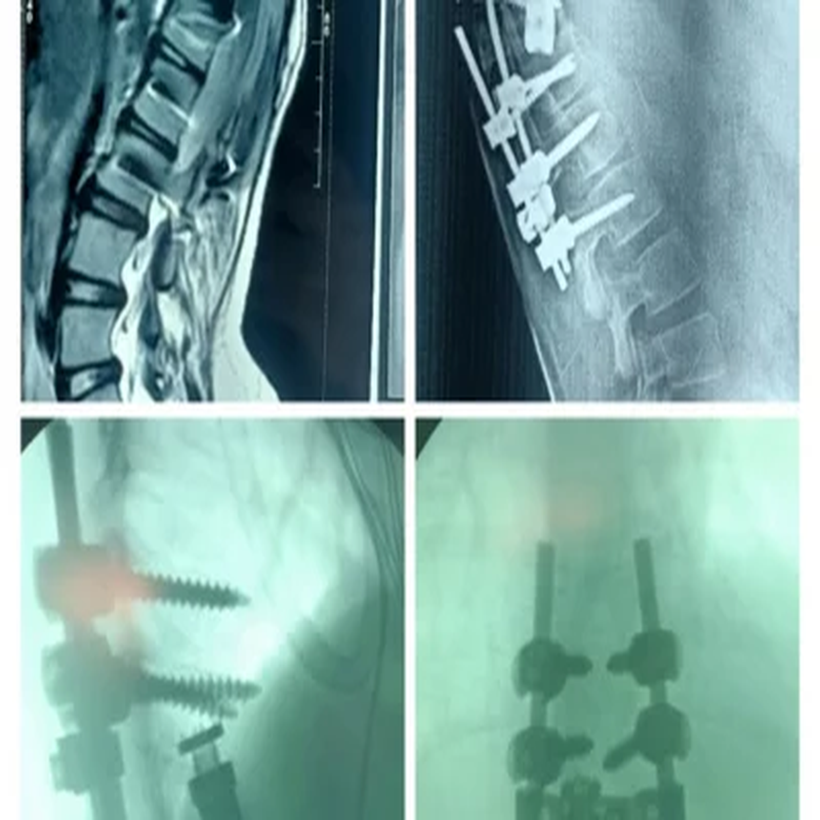 first_image_resized_2048x2048